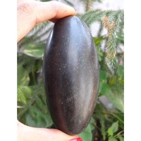 Wonderful Pattern Shiva Lingam Stone from India - Narmadeshwar Narmada River Shiva Genuine Shiva Lingam Stone 4" Inch Indian God Idols & Statue Religious Gifts Healing Meditation Stone