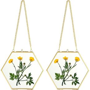 JUXYES Set of 2 Hexagon Wall Hanging Photo Frame, Golden Glass Hanging Picture Artwork Display Frame, Double Glass Floating Frame Style Gallery Wall Frame for Photo Picture Poster etc