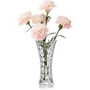 مزهرية زجاجية شفافة مقاس 7.5 بوصة، مزهرية صغيرة من الكريستال الشفاف، مزهرية حديثة للطاولة المركزية، مكتب داخلي، ديكور منزلي، مزهرية مزخرفة، هدية للنساء in Kuwait