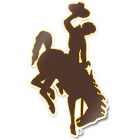Desert Cactus University of Wyoming Sticker UWYO Cowboys Vinyl Decal Laptop Water Bottle Car Scrapbook (IND 8)