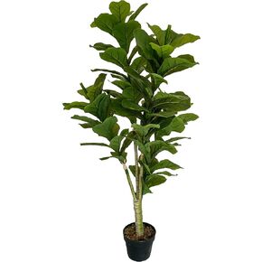 AMERIQUE نبات حرير صناعي رائع وكثيف من أوراق الكمان مع حماية من الأشعة فوق البنفسجية، مع وعاء بلاستيكي للحضانة، يشعر بالتكنولوجيا الحقيقية، جودة فائقة، 4.5 قدم، أخضر in Kuwait