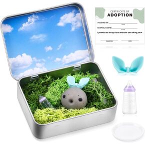 Baby Rock Adoption Pets Kits Novelty Gag Gift with Adoption Certificate Desk Pet Handmade Emotional Support Gift Carry Around Companion Pretend Pet back to school gift for Kids Adult