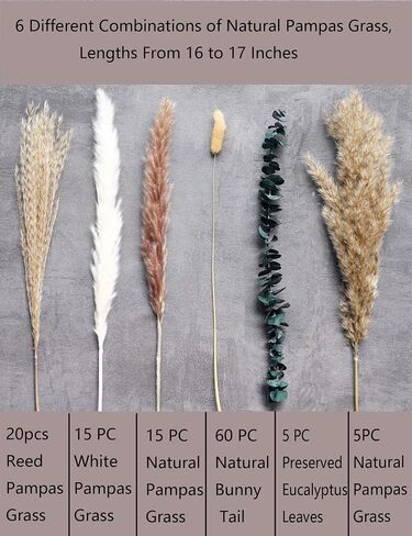 118PCS Natural Dried Flowers, Dried Pampas Grass, Home Vase Decoration, Bohemian Wedding Decorative Flower Bouquet Reed Bouquet.(light yellow) in Saudi Arabia