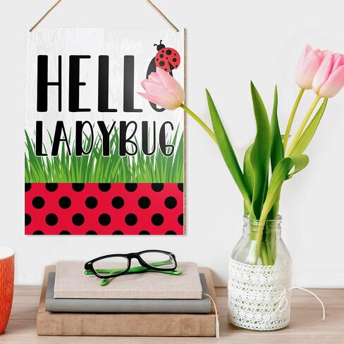 UDNADKEX Spring Wall Decor, Hello Ladybug, Spring Welcome Door Sign Home Office Decorations Spring Wooden Hanging Sign Wall Decor in Saudi Arabia