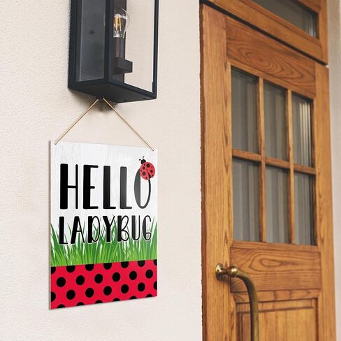 UDNADKEX Spring Wall Decor, Hello Ladybug, Spring Welcome Door Sign Home Office Decorations Spring Wooden Hanging Sign Wall Decor in Saudi Arabia