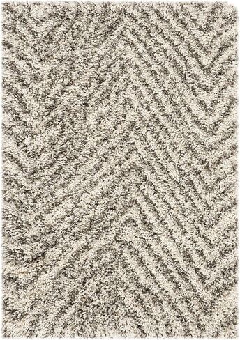 SAFAVIEH Hudson Shag Collection Accent Rug - 4' x 6', Ivory & Grey, Chevron Design, Non-Shedding & Easy Care, 2-inch Thick Ideal for High Traffic Areas in Entryway, Living Room, Bedroom (SGH375A) in Saudi Arabia