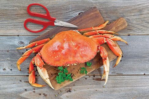 Maine Man Crab Seafood Scissors, Japanese Stainless Steel Blades, BPA Free in Saudi Arabia