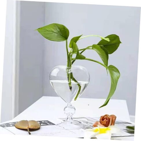 Zerodeko Heart Glass Hydroponic Vase, Transparent, 6.3x6.3x8.1 inches, for Indoor Decoration and Gift in Saudi Arabia