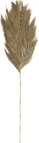 Deco 79 Dried Plant Palm Leaf Home Decor Natural Foliage Tall Natural Dried Foliage, Foliage for Decoration 13" x 1" x 59", Brown in Saudi Arabia