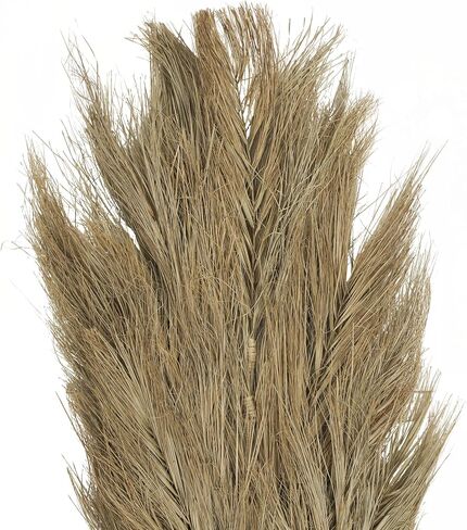 Deco 79 Dried Plant Palm Leaf Home Decor Natural Foliage Tall Natural Dried Foliage, Foliage for Decoration 13" x 1" x 59", Brown in Saudi Arabia
