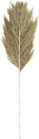 Deco 79 Dried Plant Palm Leaf Home Decor Natural Foliage Tall Natural Dried Foliage, Foliage for Decoration 13" x 1" x 59", Brown in Saudi Arabia