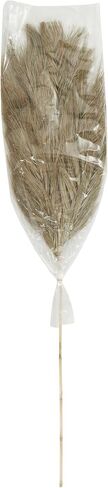Deco 79 Dried Plant Palm Leaf Home Decor Natural Foliage Tall Natural Dried Foliage, Foliage for Decoration 13" x 1" x 59", Brown in Saudi Arabia