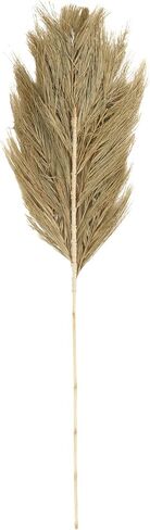 Deco 79 Dried Plant Palm Leaf Home Decor Natural Foliage Tall Natural Dried Foliage, Foliage for Decoration 13" x 1" x 59", Brown in Saudi Arabia