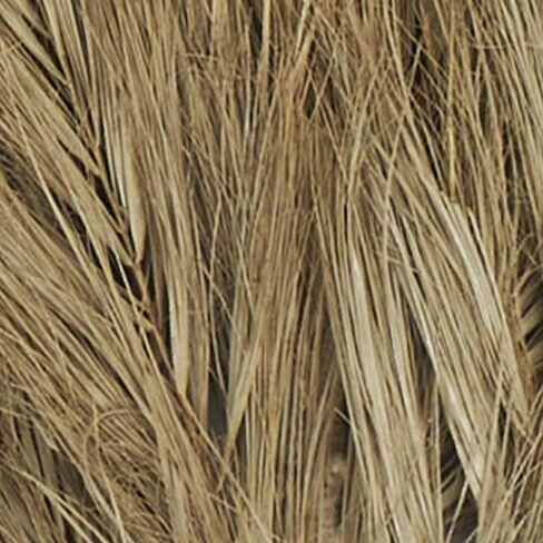 Deco 79 Dried Plant Palm Leaf Home Decor Natural Foliage Tall Natural Dried Foliage, Foliage for Decoration 13" x 1" x 59", Brown in Saudi Arabia