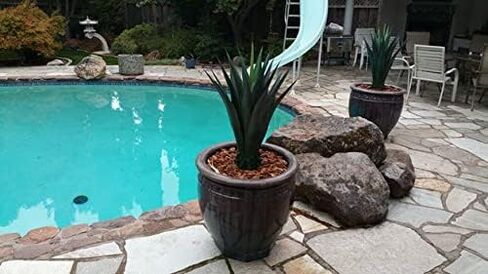 نبات الصبار الاصطناعي بوعاء نبات السيزال الاصطناعي مقاس 41 بوصة داخليًا أو خارجيًا، مُصنف بالأشعة فوق البنفسجية، صبار الصبار في زارع أسود مضلع مزخرف in Kuwait