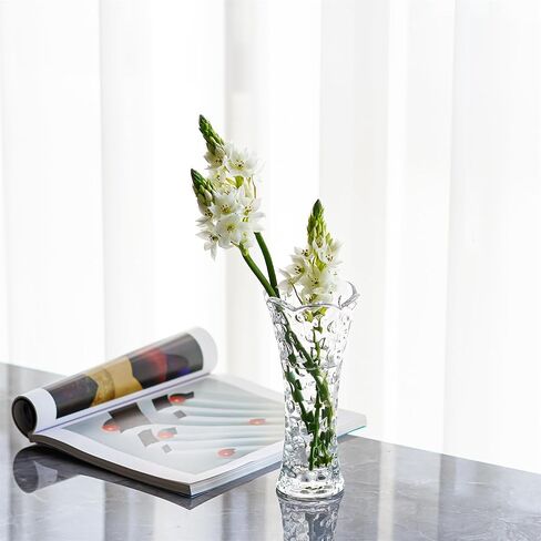 مزهرية زجاجية شفافة مقاس 7.5 بوصة، مزهرية صغيرة من الكريستال الشفاف، مزهرية حديثة للطاولة المركزية، مكتب داخلي، ديكور منزلي، مزهرية مزخرفة، هدية للنساء in Kuwait