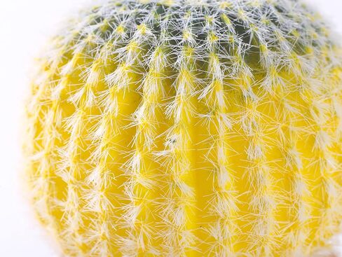 Artificial Cactus Plant 6" Fake Cactus in Pot Small Succulent Plants Mini Faux Succulents Cacti for Indoor,Office,Desk Tabletop, Shelf,Home，Cubicle，Bookshelf Decoration in Saudi Arabia