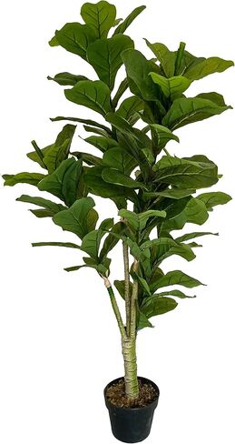 AMERIQUE نبات حرير صناعي رائع وكثيف من أوراق الكمان مع حماية من الأشعة فوق البنفسجية، مع وعاء بلاستيكي للحضانة، يشعر بالتكنولوجيا الحقيقية، جودة فائقة، 4.5 قدم، أخضر in Kuwait