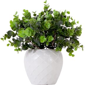 Nearly Natural 11in. Artificial Boxwood Plant with Decorative Planter