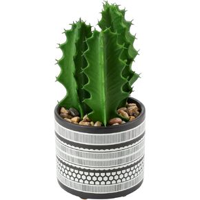 Briful Artificial Cactus Plant Realistic Mini Faux Succulents in Pots Black Ceramic Pots with Feet Small Fake Plants Decor for Home Table Office Desk Bathroom Shelf Living Room Indoor Decoration