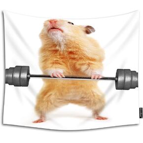 Moslion Tapestry Funny Mice Little Cute Animal Hamster Gym Sport Humour Pet Strong Strength Wall Hanging Tapestry for Living Room Bedroom Dorm Home Decorative Polyester 60W x 40H