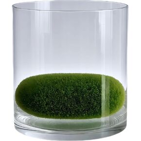 Clear Cylinder Glass Vase 4.72" Tall, Wide Candle Holder Terrarium for Flower Wedding Party Short Cylinder Vases for Centerpieces (with Faux Moss Balls)