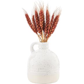 Mud Pie Preserved Wheat in Vase, Red