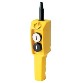 ASI P02.2 2 Button Ergonomic Grip Pendant Station, 4No Contacts, UP-Down Arrows