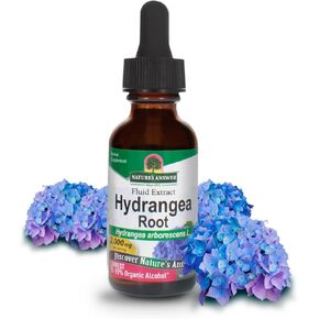Nature's Answer Hydrangea Root Extract Supplement with Organic Alcohol, 1-Fluid Ounce | Promotes Kidney Health | Urinary Tract Support