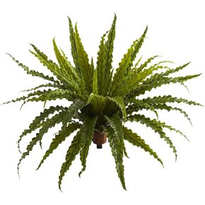 Nearly Natural 26" Asplenium (Set of 2) Artificial Plant, Green