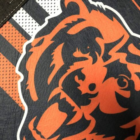 وينكرافت NFL 14499115 Chicago Bears Premium راية، 12 بوصة × 30 بوصة in Saudi Arabia