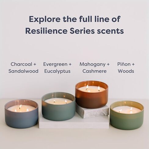 Calyan Wax Co. 3 Wick Candle, Resilience Series, Mahogany + Cashmere Scented Candle, 30+ Hour Burn Time, 3 Wick Soy Candles, Non Toxic & Vegan Soy Wax, Glass Scented Candles, 12oz in Saudi Arabia