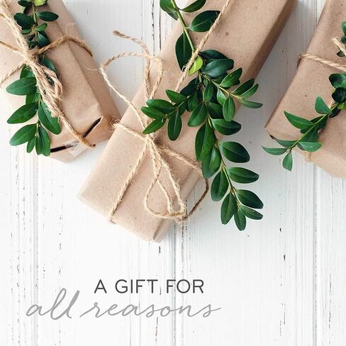 Thymes Frasier Fir Candle - Gilded Ceramic 3-Wick Jar Candle - Scented Candle with a Luxury Home Fragrance - Elegant Holiday Candle - Gilded White Candle with 24-Karate Gold Rim (20 oz) in Kuwait