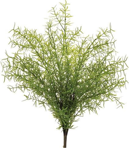 Melrose Asparagus Fern Bush، 18.5 بوصة ارتفاع، ديكور نباتات صناعية لأي مناسبة، داخلي خارجي، بلاستيك in Kuwait
