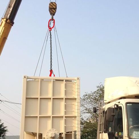 Baluue Chain Sling, Lifting Chain Slings with Hooks, Engine Chain Hoist Lifts, 1 ton Capacity Lifting Sling Chains Engine Lift Chain for Security Towing Industrial Scientific Handling in Kuwait