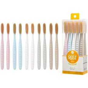 Wangta Soft Toothbrush, 10 Pack (Gold) – Best Manual Toothbrush for Maximum, Efficient Cleaning and Sensitive Gums and Teeth
