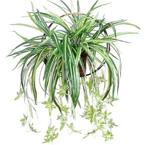 BEIJIALY 4 pcs Artificial Chlorophytum Silk Flowers, Artificial Spider Plant Fake Greenery Faux Plant, Wall Hanging Plants Decorative Silk Plant for Home Hotel Decor (Green)