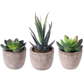 3pcs Faux Succulent Bonsai Cactus Plant Pot Flower Pot Container Plant Bonsai Artificial Simulation Plants with Pots， Gife Idea Decorative