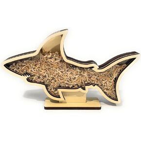 Shark Teeth Shadow Box Large 14" Shark Tooth Display case for Shark Teeth, Mini sea Shells, Beach Sand, sea Glass, or Coins. Beach Home Decor for Fossils or Piggy Bank