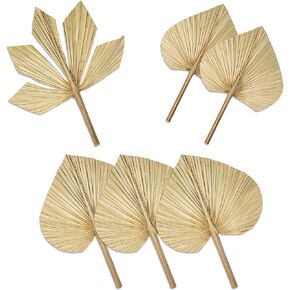6pcs Natural Trimmed Dried Palm Leaves, Sm. M, & Lg, Size Dried Palm Spears, Home Boho Wedding Decor, Tropical Decor, Home Decoration, Luau Party Table Decoration, Dried Flowers Pampas Dry Palm Leaf