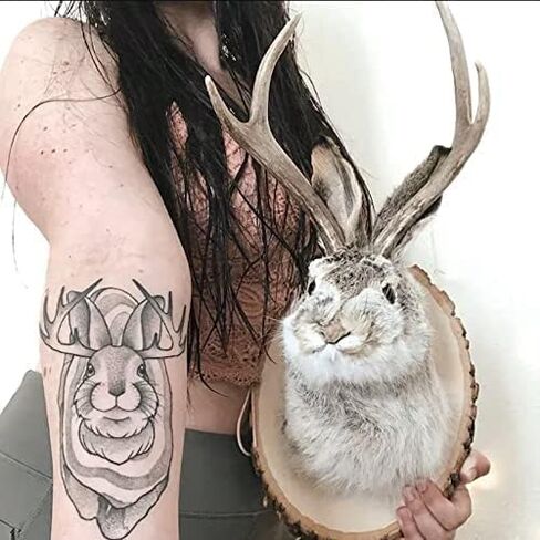 ديكور جداري مثبت على Jackalope، أحدث أسطورة القرون، ديكور جداري على شكل رأس حيوان، حامل جداري على شكل رأس غزال، فن جداري معلق من الراتنج، عينة محاكاة لرأس الحيوان، للمنزل/المكتب in Saudi Arabia