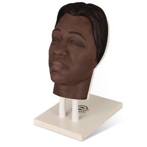 Silicone Facial Injection Training Model,Facial Micro-Plastic Teaching and Injection Training Experience for Plastic Surgeons and Aestheticians, Kaya Model