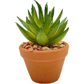 Artificial Succulents in Ceramic Pots Mini Fake Succulents Beautiful Fake Succulents for Desk Decor, Office Plants Room Home Bathroom Bedroom Office Decor