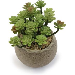 allgala Small Desktop Artificial Succulent Plant with Natural Clay Pot