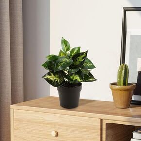Artificial Plants Indoor Small Fake Potted Plants, Faux Indoor Plant with black Pots for Home Bathroom Living Room Office Shelves Table Decor Indoor.The pot is 3.54"H x 2.9"W, with an overall 8.3"H.