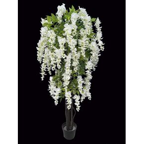 AMERIQUE White Gorgeous & Unique 5 Feet Blooming Artificial Silk Creamy Wisteria Tree with Twisted Trunks, in Nursery Pot, Feel Real Technology