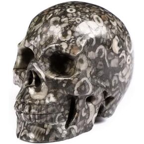 2.0" Crinoid Fossil Crystal Skull, Hand Carved Gemstone Fine Art Sculpture, Reiki Healing Stone Statue.