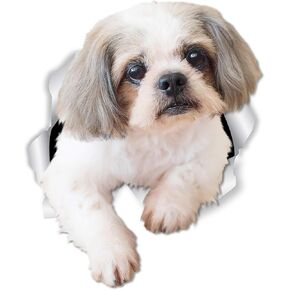 Winston & Bear Curious Shih Tzu Dog Wall Decals - 2 Pack - Shih Tzu Dog Toilet Sticker – 3D Dog Car Window and Bumper Sticker - Retail Packaged Shih Tzu Lover Gifts