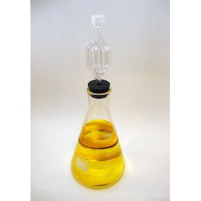 2000 ml Fermenter Flask with Stopper and Airlock