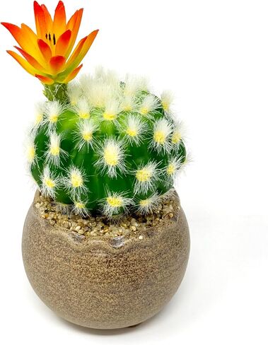 allgala Small Desktop Artificial Succulent Plant with Natural Clay Pot in Saudi Arabia